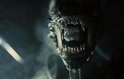 异形的视频,黑暗宇宙的恐怖启航